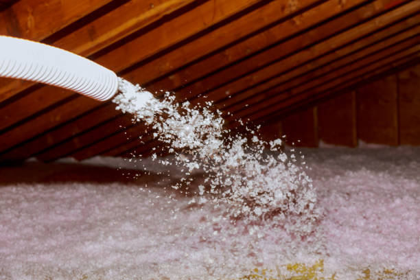 Best Geographic-Specific Insulation Services in Devine, TX