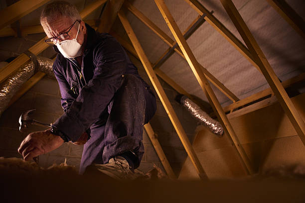 Professional Insulation Contractor in Devine, TX